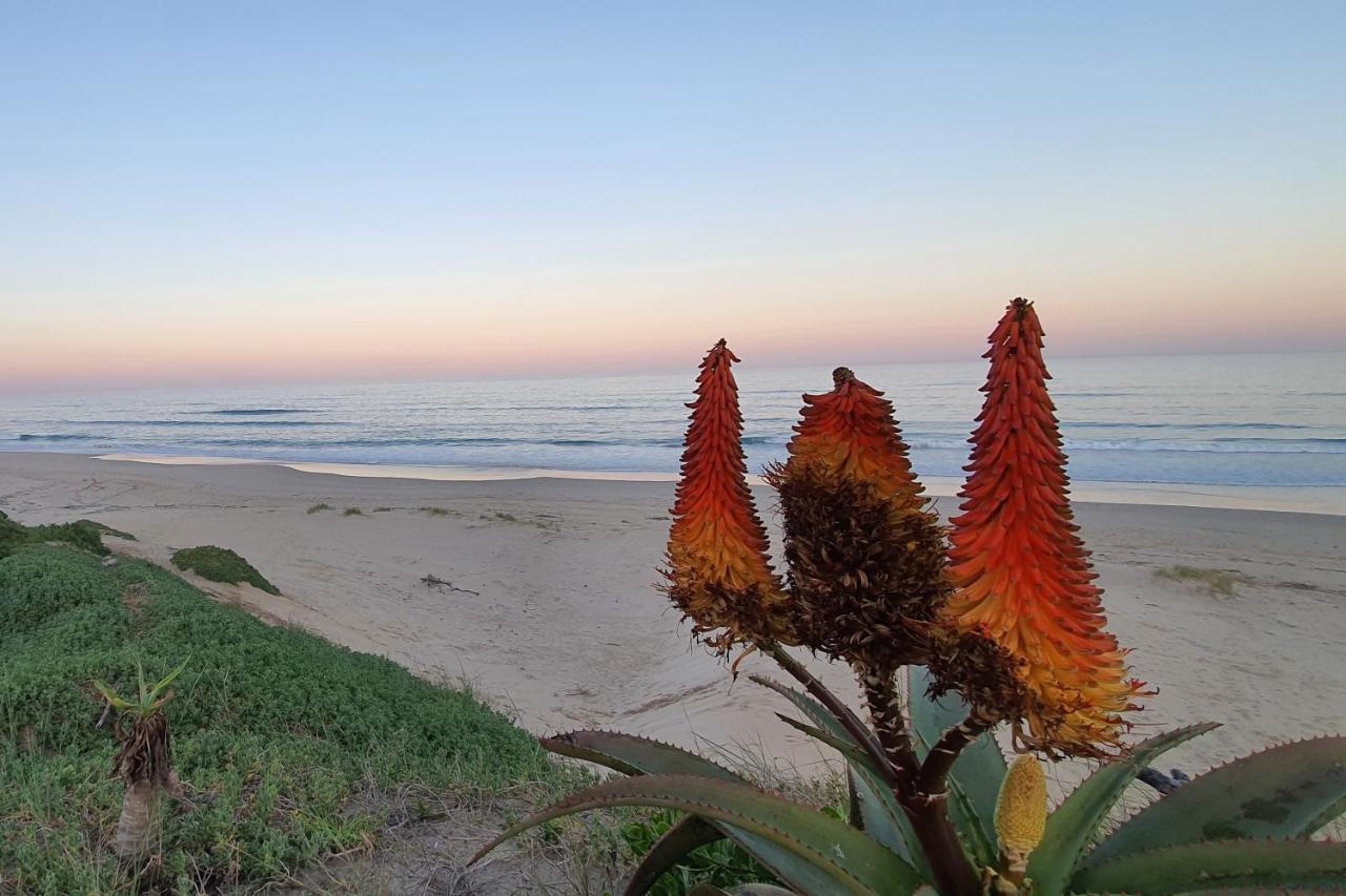 Paradise Found, Paradise Beach, Jeffreys Bay Dış mekan fotoğraf